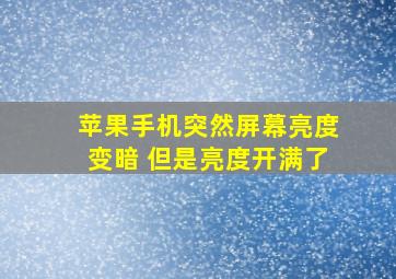 苹果手机突然屏幕亮度变暗 但是亮度开满了